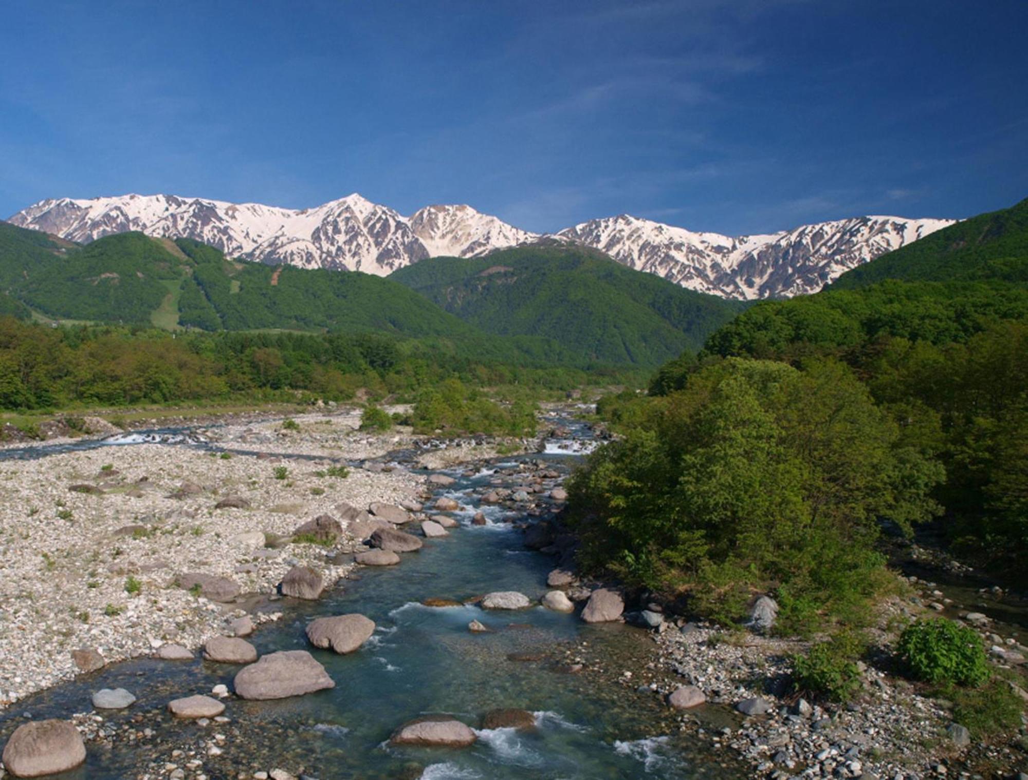 Hakuba Mominoki Hotel Kültér fotó