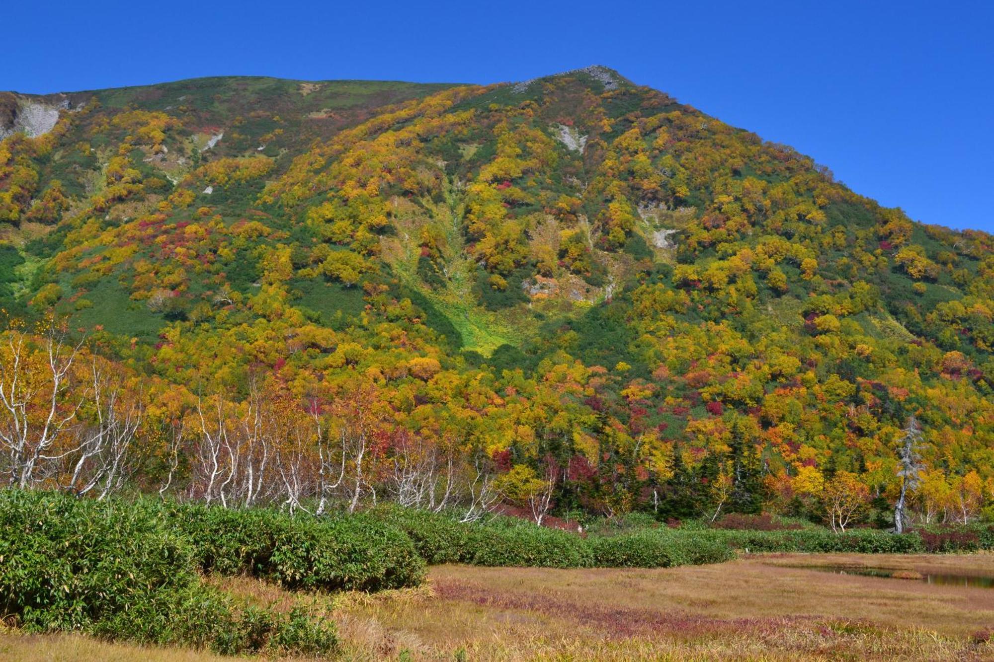 Hakuba Mominoki Hotel Kültér fotó